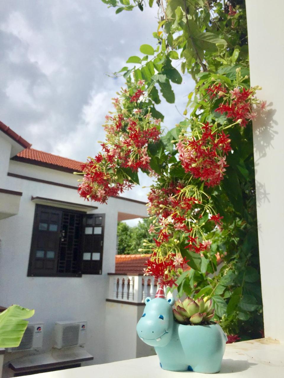 Holy Land Homestay Hoi An Eksteriør bilde