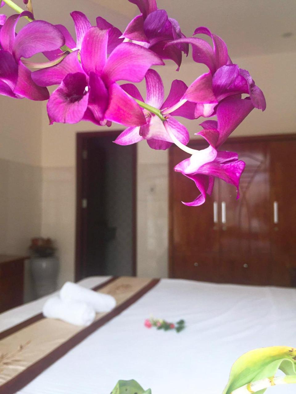 Holy Land Homestay Hoi An Eksteriør bilde